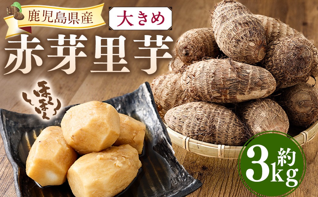 大きめ 赤芽里芋 約3kg 鹿児島県産 ねっとり濃厚 上品な旨味 【2027年1月中旬～3月中旬発送予定】 さといも 赤芽 里芋 ZS-6139