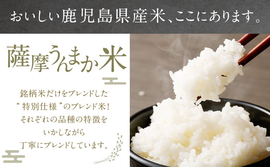 鹿å
å³¶çç£ éæç±³ ãã¬ã³ã è©æ©ãããŸãç±³ 15kg ïŒ5kgÃ3è¢ïŒ ãã¬ã³ãç±³ çœç±³ ç±³ ãç±³ ããã ã2026幎1æäžæ¬ä»¥éé æ¬¡çºéã DSR-170