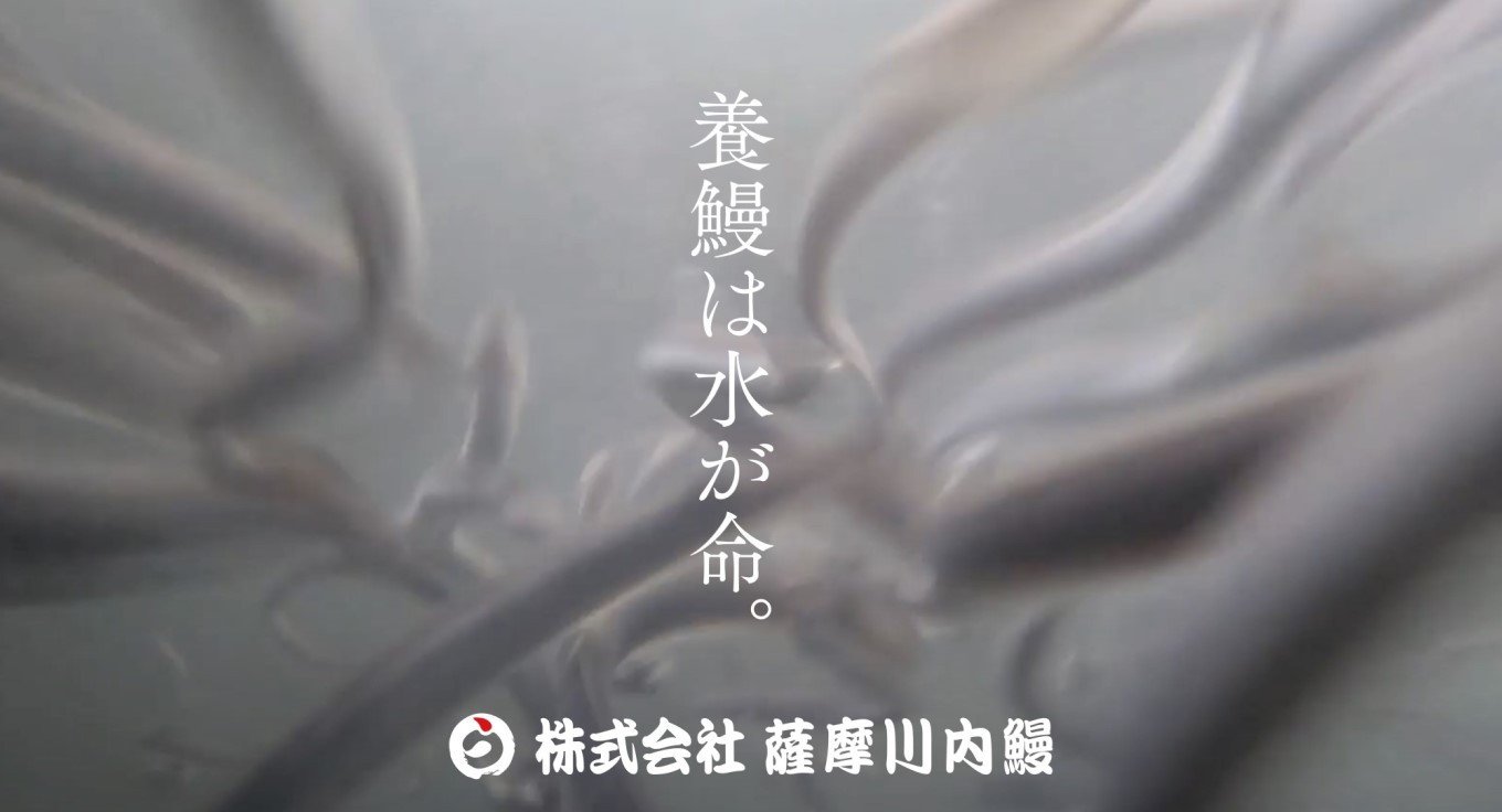 AS-2066 うなぎ肝の佃煮缶詰 60g×4個