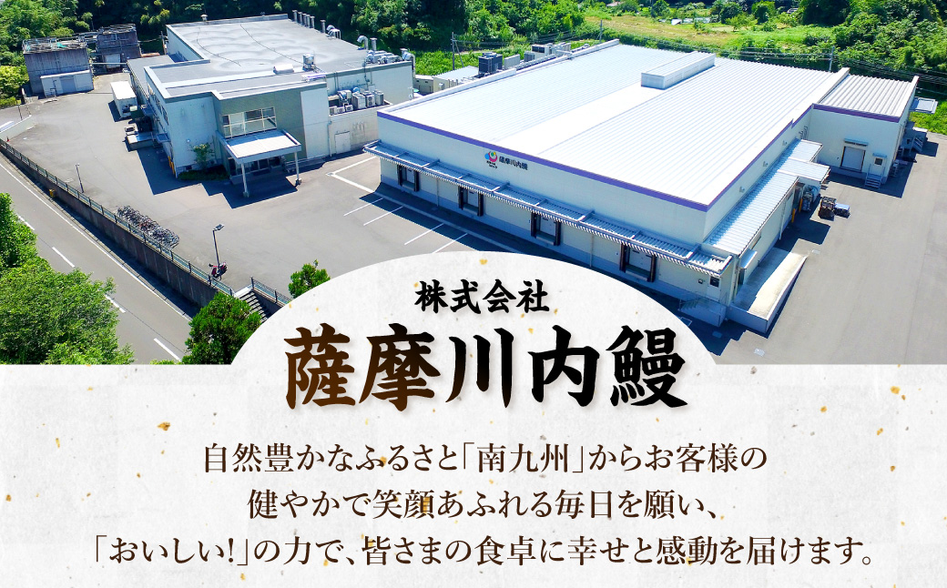 AS-840 九州産うなぎ蒲焼 2尾 食べごたえある2人前