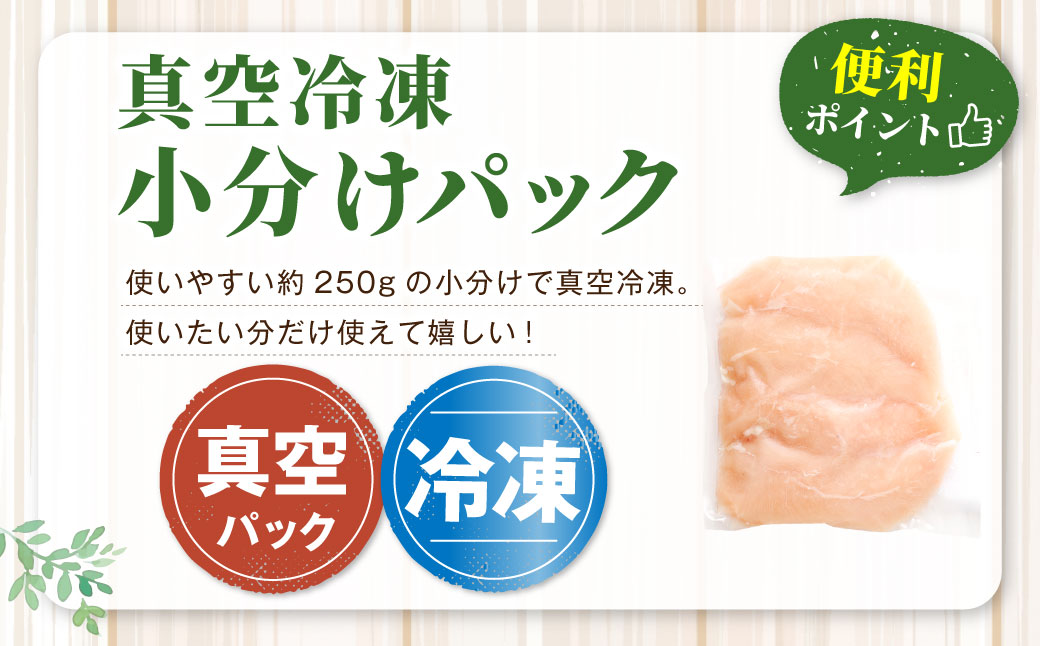 鮖ソ蜈仙ウカ逵檎肇 闍・鮓 縺輔&縺ソ 邏5kg 繧サ繝繝 繧ォ繝繝 蟆丞縺 鮓剰i 蜀キ蜃 BS-3100
