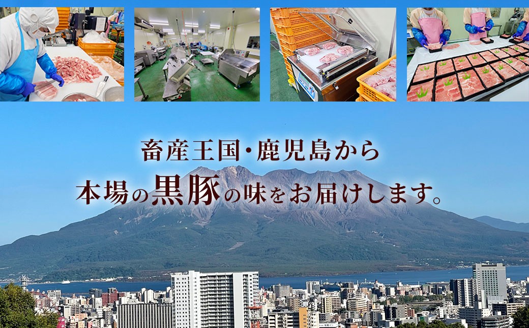ã3åå®æäŸ¿ã鹿å
å³¶çç£ é»è± è©ããŒã¹ ããã¶ããã¶ åèš2.4kgïŒ800gÃ3åïŒ é»è± è±è è±ãã© è ãè CS-819