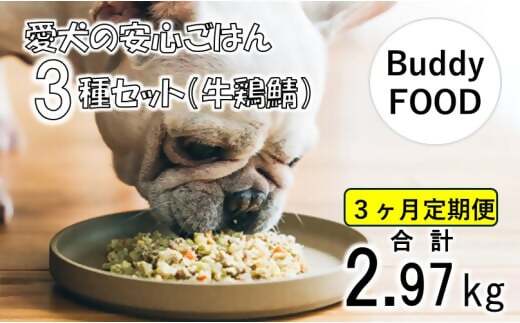 CS-409【3ヶ月定期便】完全国産・獣医師オススメの愛犬の安心ごはん【Buddy FOOD バディフード】 3種セットA（牛鶏鯖）