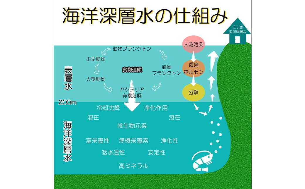 深海の塩 甑珀 3種セット やさしお あらじお いりじお 各1袋 150g 塩 ミネラル塩 国産 AS-379