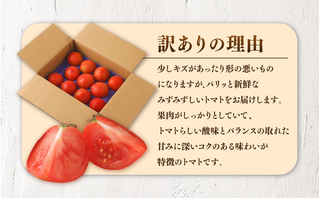 訳ありトマト 8～14玉 （約2kg）【2027年1月中旬～5月下旬発送予定】 トマト 訳あり とまと 野菜 新鮮 新鮮野菜 ZS-995