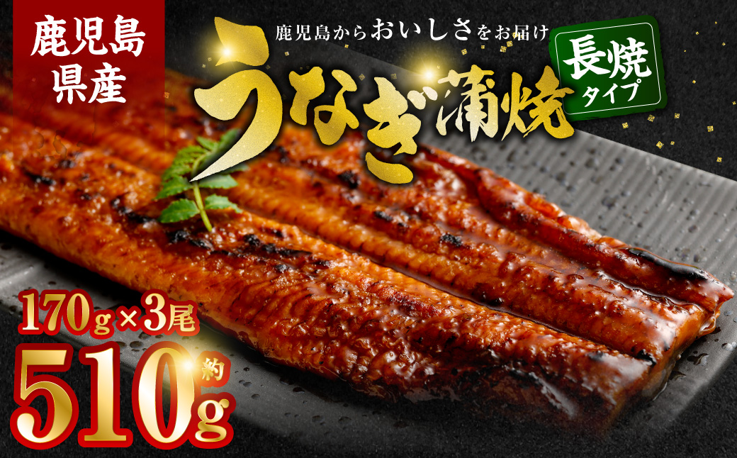 BSR-339 鹿児島県産うなぎ蒲焼 約170g×3尾