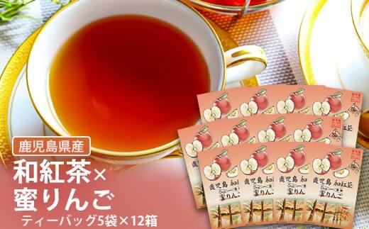 AS-349 鹿児島茶フレーバーティー【和紅茶】蜜りんご12箱