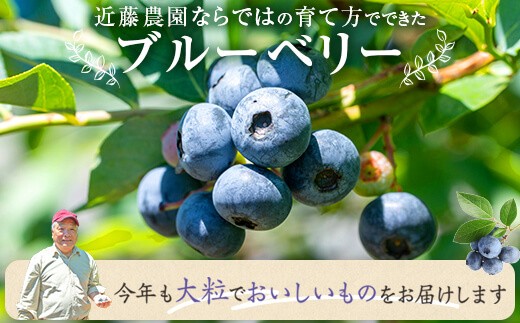 ãæ°ééå®ãå·åãã«ãŒããªãŒ 1000gïŒ500gÃ2ïŒ (B-18) AS-7101 ãµãããšçŽçš æ°ééå® å·åãã«ãŒããªãŒ ãã«ãŒããªãŒ æå® ã¹ã ãŒãžãŒ ãã«ãŒã 鹿å
å³¶ è¿è€èŸ²å