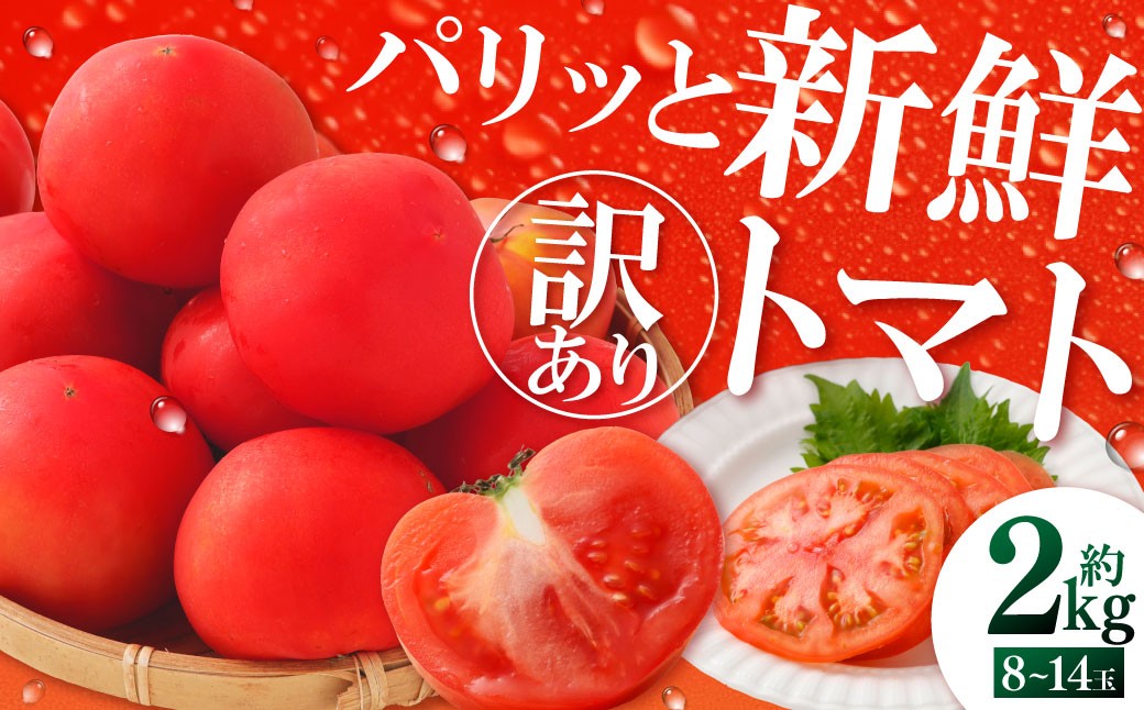 訳ありトマト 8～14玉 （約2kg）【2027年1月中旬～5月下旬発送予定】 トマト 訳あり とまと 野菜 新鮮 新鮮野菜 ZS-995