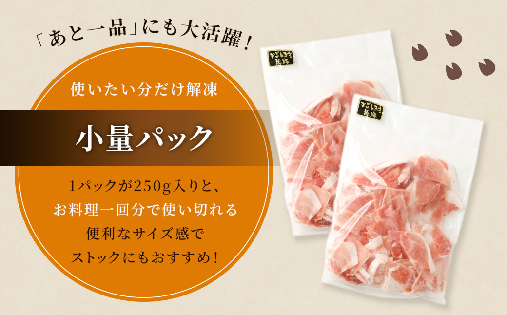 CSR-537 【隔月3回定期便】鹿児島県産黒豚 大容量小分けパック切り落とし 合計6kg（2kg×3回） 黒豚 黒豚切り落とし 切り落とし 豚肉 ウデ肉 肩肉