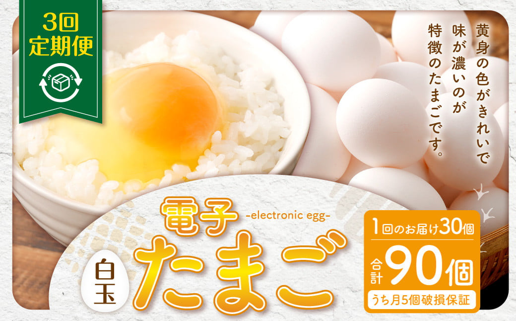 AS-469 【3ヶ月定期便】 電子たまご（白玉） 合計90個（30個×3回） 卵 たまご 白玉 定期