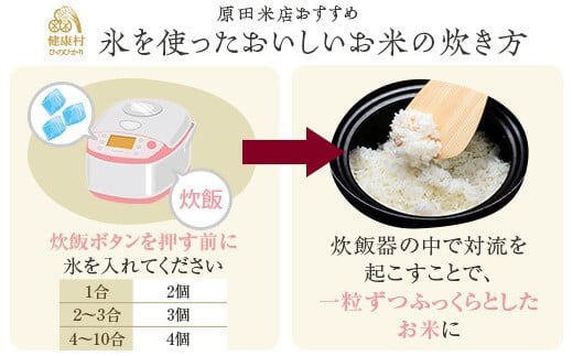 CS-004 鹿児島県産ヒノヒカリ20kg(10kg×2) 五ﾂ星お米マイスターが吟味したお米!
