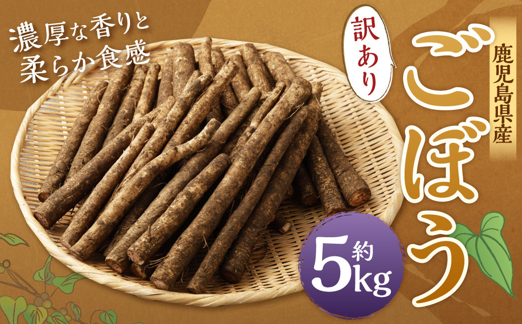 AS-075 鹿児島県産 土付き ごぼう 約5kg【規格外・訳あり品】【2025年1月上旬～3月下旬発送予定】