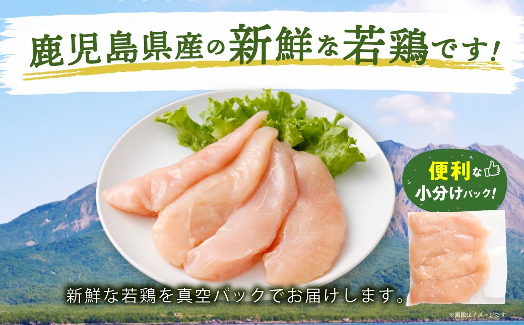 鹿児島県産 若鶏 筋なしささみ 約5kg セット カット 筋なし ささみ 小分け 鶏肉 冷凍 BS-853