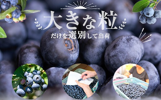 ãæ°ééå®ãå·åãã«ãŒããªãŒ 1000gïŒ500gÃ2ïŒ (B-18) AS-7101 ãµãããšçŽçš æ°ééå® å·åãã«ãŒããªãŒ ãã«ãŒããªãŒ æå® ã¹ã ãŒãžãŒ ãã«ãŒã 鹿å
å³¶ è¿è€èŸ²å