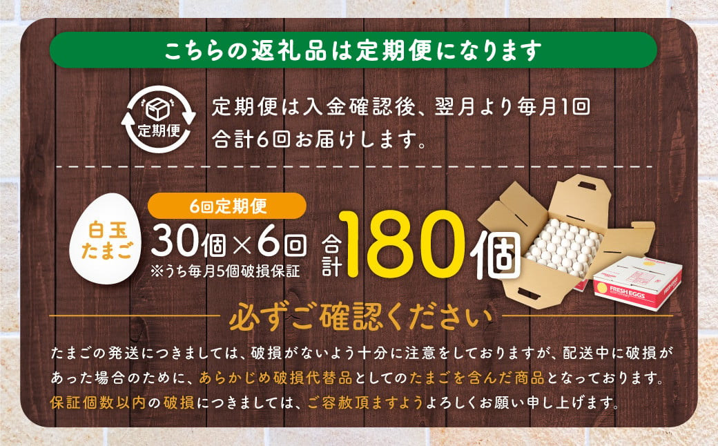 BS-824 【6ヶ月定期便】 電子たまご（白玉） 合計180個（30個×6回） 卵 たまご 白玉 定期