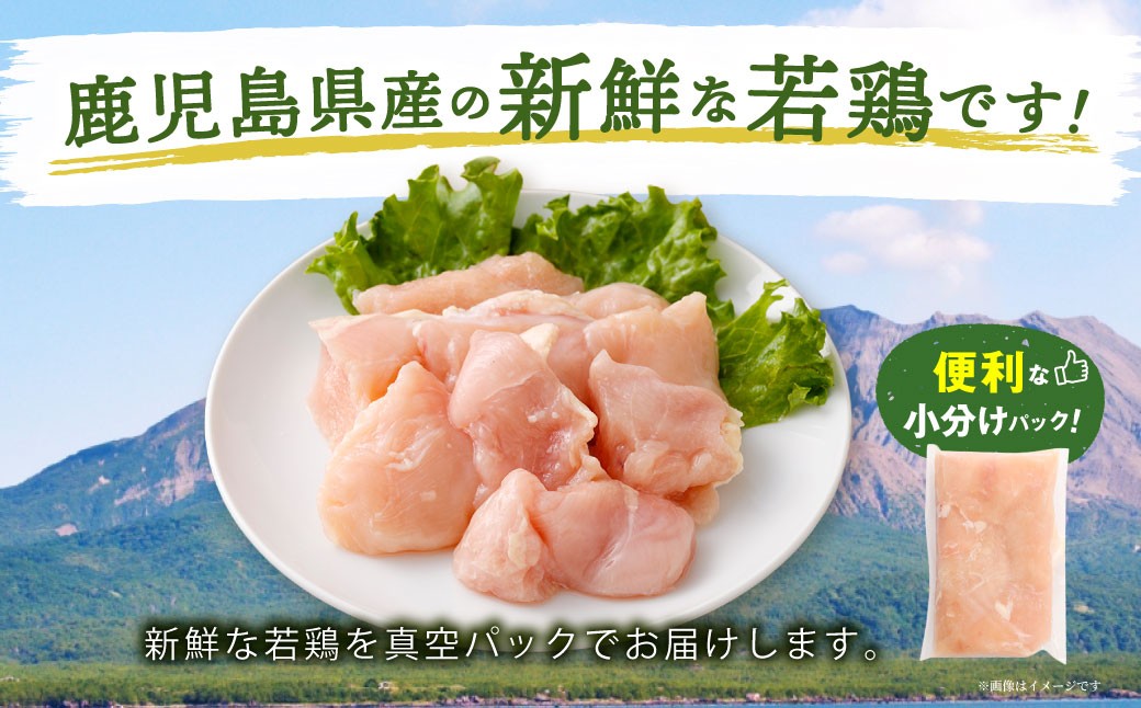 鮖ソ蜈仙ウカ逵檎肇 闍・鮓 繧縺ュ蛻霄ォ 邏1.2kg 繧サ繝繝 繧縺ュ閧 繧ォ繝繝 蟆丞縺 鮓剰i 蜀キ蜃 ZS-6125