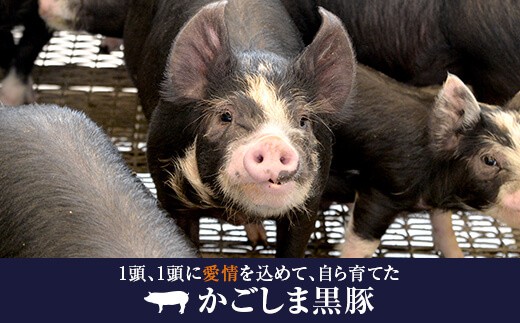 DS-002 かごしま黒豚ロース肉とバラ肉の焼肉セット 2kg（ご自宅用各1kg） SDGs未来都市薩摩川内 工房みかく亭