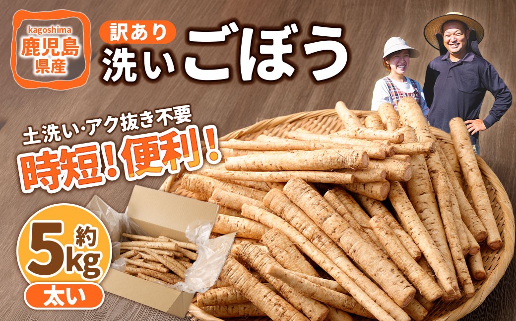 鹿児島県産 洗い【太い】 ごぼう 約5kg 【規格外・訳あり品】【2026年12月上旬-3月下旬発送予定】 AS-4115