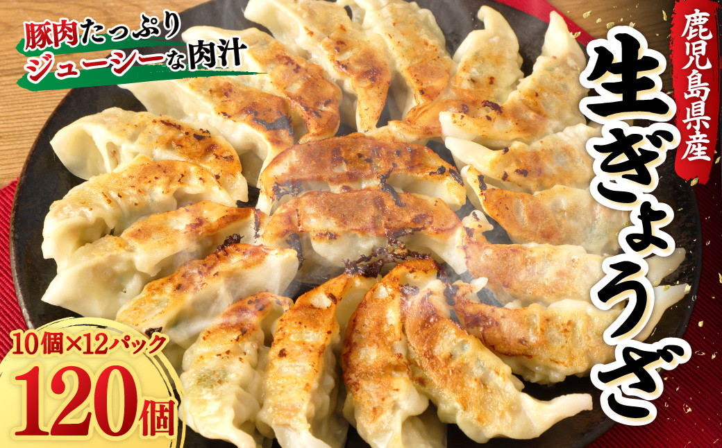 鹿児島 生ぎょうざ 120個セット(10個×12パック) 餃子のたれ付き  AS-937