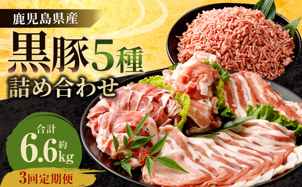 FS-309 【3ヶ月定期便】鹿児島県産黒豚 5種詰合せ(約2.2kg×3回)
