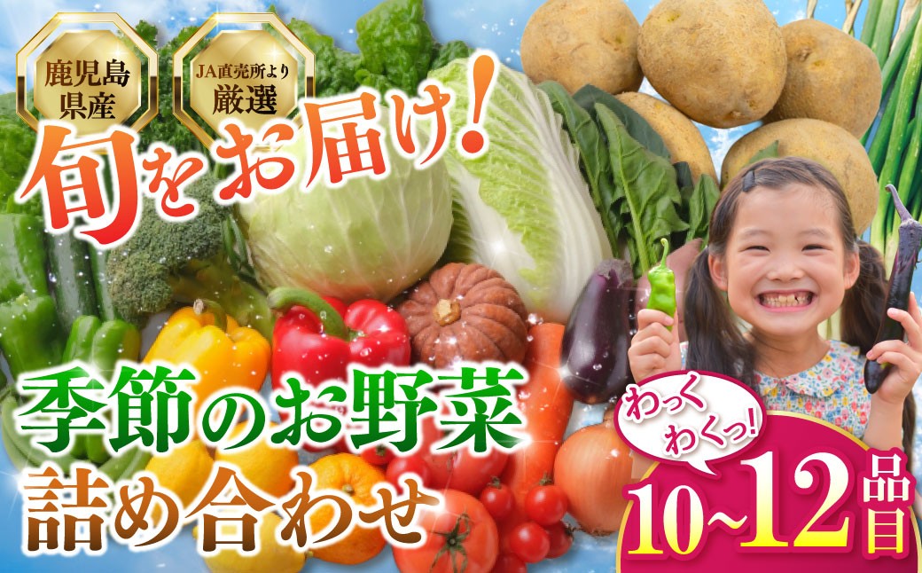 鹿児島県産 季節のお野菜詰め合わせ 10～12品目 野菜 詰め合わせ 新鮮 旬 新鮮野菜 AS-2258