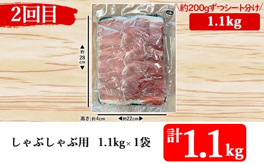 【3ヶ月定期便】鹿児島県産黒豚 便利な定期便 3回 合計約3kg CS-314