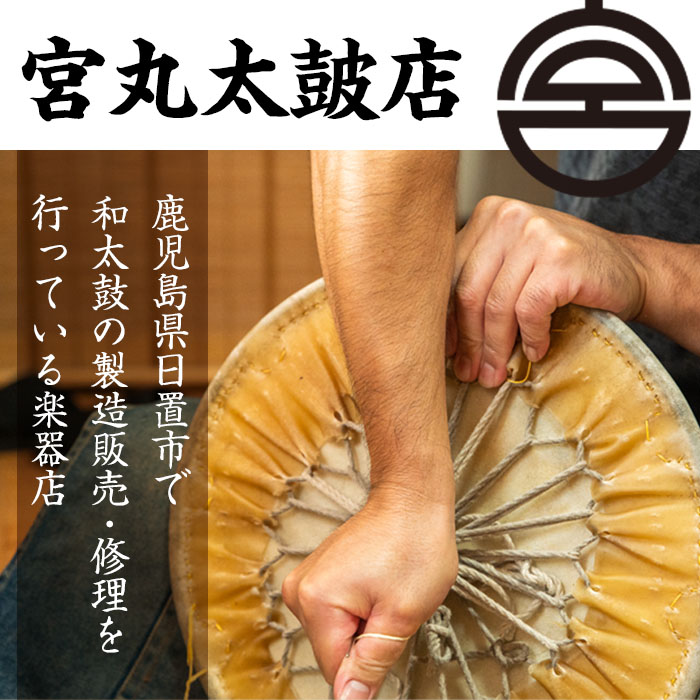 No.699 ïŒæ¥æ¬è£œïŒã§ãã§ã倪éŒ(ç· ä»åå°)(çŽåŸ8cmÃé«ã20cm))ã宮䞞倪ç·åºã