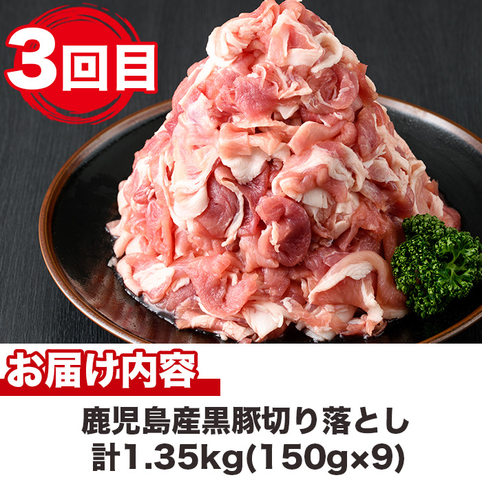 No.725 ïŒå®æäŸ¿ã»å
š5å(é£ç¶)ïŒé¹¿å
å³¶ç£é»è±å³ããå°œããã³ãŒã¹(é»è±å³å挬ããççŒãçŒè±ããŠã€ã³ããŒãåãèœãšãèããã©ã³ã¯ãã«ããé»è±ããŒã¹è)åœç£ ãã³ã¯ãã€ã