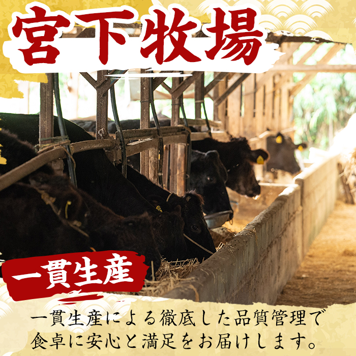 No.727 ＜定期便・全3回(連続)＞黒毛和牛の赤身牛肉コース(全3回・すき焼き、焼肉、ステーキ)【さつま屋産業】