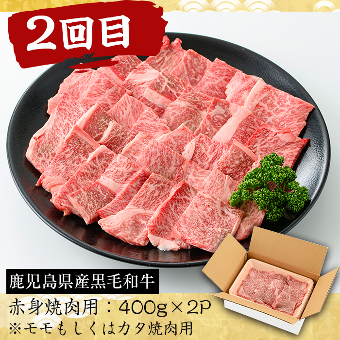 No.727 ＜定期便・全3回(連続)＞黒毛和牛の赤身牛肉コース(全3回・すき焼き、焼肉、ステーキ)【さつま屋産業】