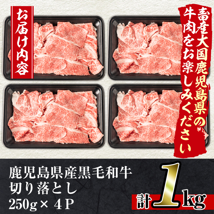 No.706 鹿児島県産黒毛和牛切り落とし(計1kg・250g×4P)【アリラン飯店】