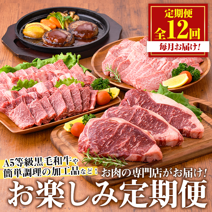 No.754 ＜定期便・全12回(連続)＞お楽しみ！大人気の返礼品定期便(全12回・ステーキ、ハンバーグ、ローストビーフなど)【カミチク】
