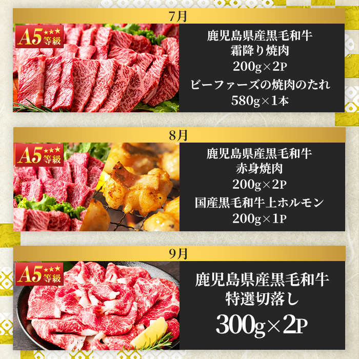 No.754 ＜定期便・全12回(連続)＞お楽しみ！大人気の返礼品定期便(全12回・ステーキ、ハンバーグ、ローストビーフなど)【カミチク】