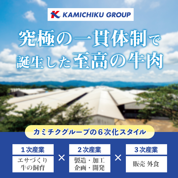 No.755 最高級黒毛和牛牛刺し(計160g・40g×4)国産 九州産 牛肉 黒毛和牛 和牛 牛刺し 肩ロース ザブトン 大トロ 小分け 冷凍 ギフト 贈答【カミチク】