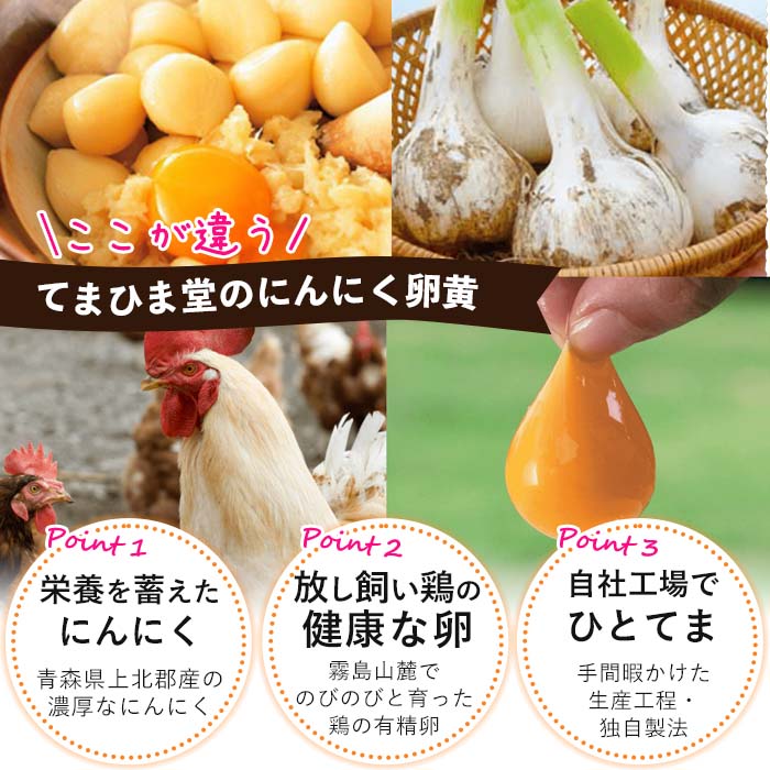 No.763 てまひま にんにく卵黄(62粒入×3袋・計186粒) 鹿児島 日置市 ニンニク 健康食品 栄養 元気 有精卵 カプセル 安全安心【てまひま堂】