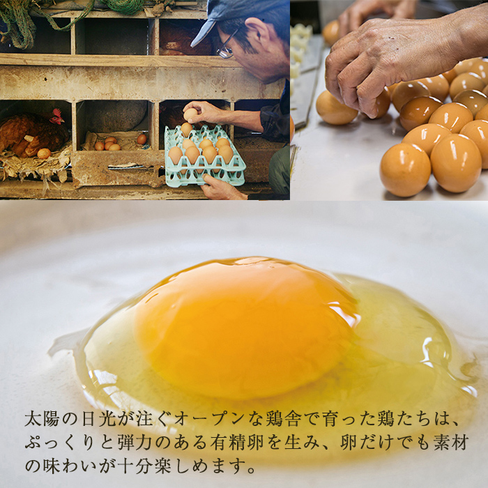 No.783 美山の有精卵でつくるだし巻き卵(380g×4本・計1520g)【美山たまご王国】