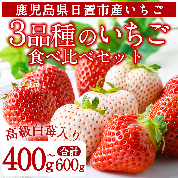 No.778 ＜先行予約受付中！＞3品種いちごの食べ比べセット(約400g～600g)国産 九州産 鹿児島 日置市 生鮮食品 苺 イチゴ 果物 フルーツ 大粒 食べ比べ【ままりあ農園】