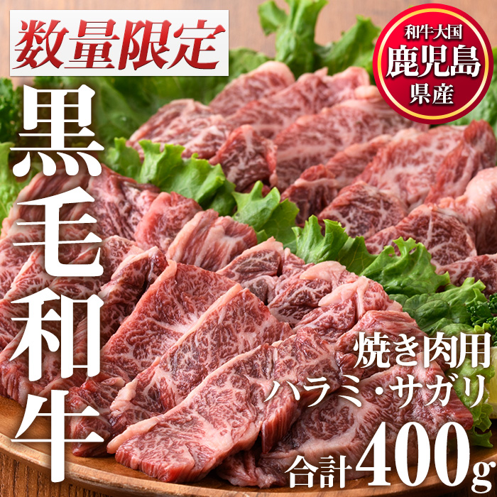 No.831 ＜数量限定＞鹿児島県産黒毛和牛焼肉セット(合計400g・ハラミ焼肉200g×1P、サガリ焼肉200g×1P)【カミチク】