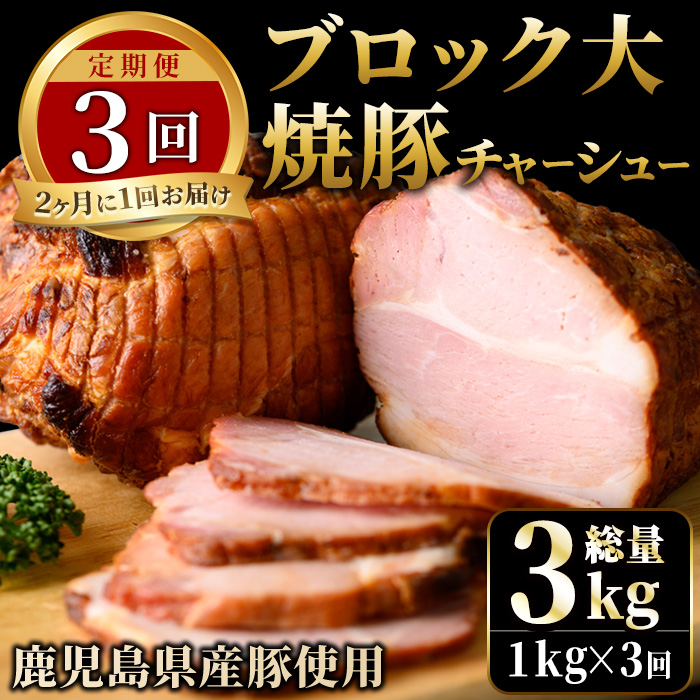 No.876 ＜定期便・全3回(隔月)＞鹿児島県産の焼豚大ブロック(計1kg・約500g×2本×3回)【薩摩ファームブロスト】