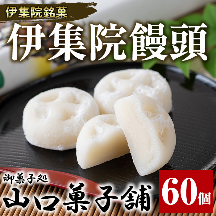 No.1007 伊集院銘菓伊集院饅頭(60個)日置市 セット 和菓子 スイーツ 郷土菓子 お菓子 ギフト 贈答品 贈り物【山口菓子舗】