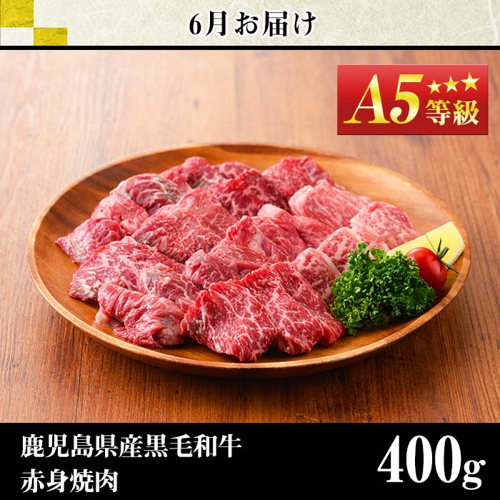 No.1013 ＜定期便・全4回＞カミチクの定期便！鹿児島県産黒毛和牛赤身定期便(合計1.7kg)牛肉 和牛 ステーキ スライス 焼肉 BBQ キャンプ 定期便 頒布会 A5 冷凍 ギフト【カミチク】