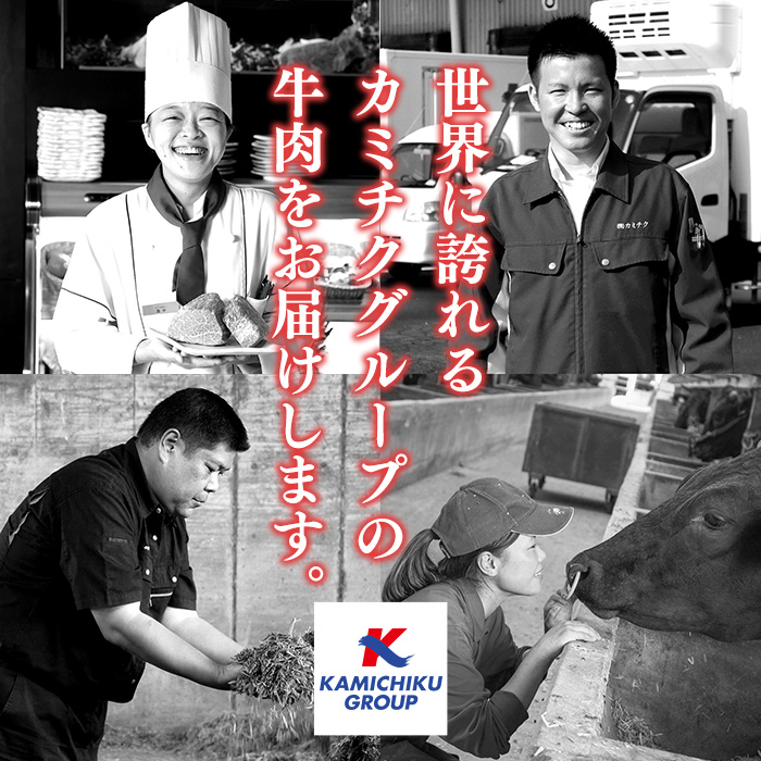 No.547 鹿児島県産黒毛和牛希少部位おまかせ焼肉(計600g・200g×3P)【LRプラスK】