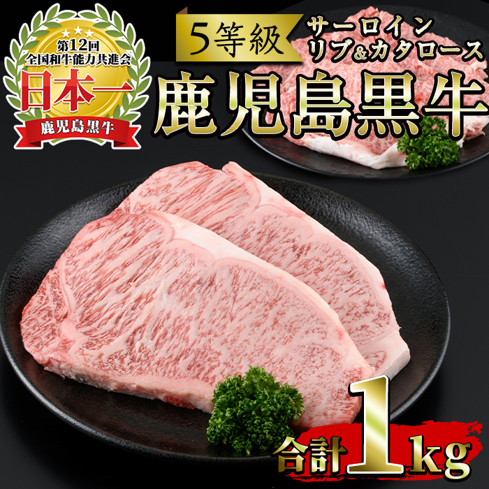 No.347 ＜肉質等級5等級＞(E-301)鹿児島黒牛サーロインステーキ2枚・すきやきセット(計1kg)国産 牛肉 黒毛 和牛 スライス リブロース 肩ロース カタ しゃぶしゃぶ【さつま日置農協】