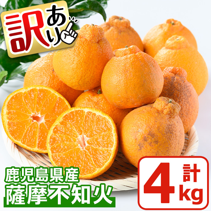 No.1089 ＜先行予約受付中！2026年1月中旬～2月下旬までの間に発送＞《訳あり！期間・数量限定》鹿児島県産！薩摩不知火(4kg) みかん 不知火 柑橘 フルーツ 果実 鹿児島 【黒川農園】