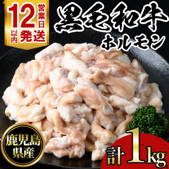 No.1105 鹿児島黒毛和牛ホルモン(250g×4P・計1kg) 国産 九州産 鹿児島県産 牛肉 黒毛和牛 和牛 お肉 おかず 焼き肉 ホルモン 小腸 冷凍【NBフード】