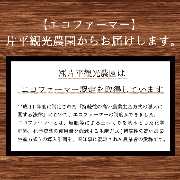 No.396 手造り不知火ジャム (200g×6本) 鹿児島県産 無添加 みかん 柑橘類 ジャム フルーツ 果物 手作り 調味料 小分け 贈答 プレゼント 着色料無添加 保存料無添加【片平観光農園】