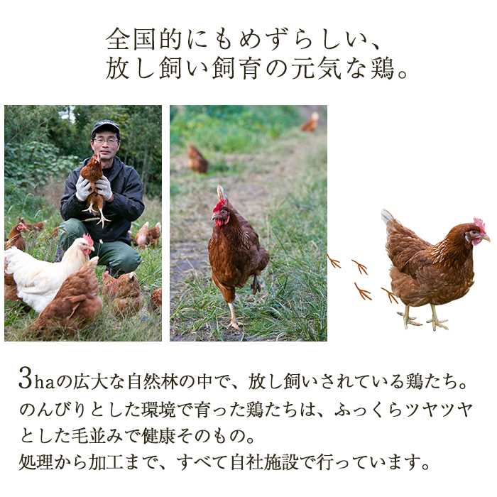 No.400 自家農園の鳥刺しとこだわり鶏料理詰め合わせ(計3点・鹿児島産鶏肉の刺身、鶏飯、鶏釜めしの素)【美山たまご王国】
