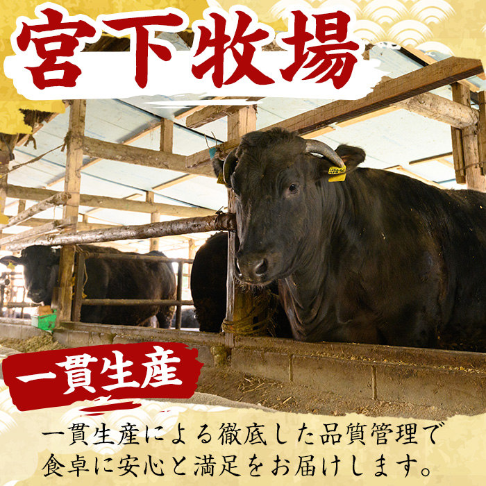 No.419 薩摩和牛のすきしゃぶセット(合計700g・肩ローススライス300g、モモもしくはカタスライス400g)国産 牛肉 スライス 数量限定 すき焼き しゃぶしゃぶ セット 冷凍【さつま屋産業】