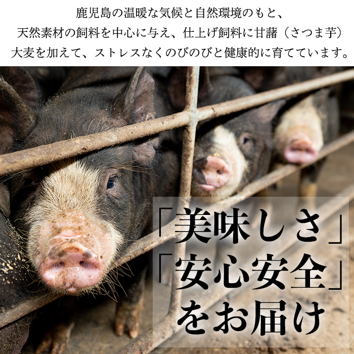 No.402 鹿児島県産黒豚肉使用！黒豚ロース味噌漬けと炭焼き焼豚詰め合わせ(合計420g)国産 味噌漬け 焼き豚 味付き 焼くだけ 惣菜 おかず 弁当 小分け 冷蔵 食べ比べ セット【コワダヤ】